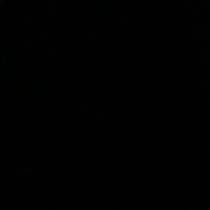 Meet your Posher, Noah